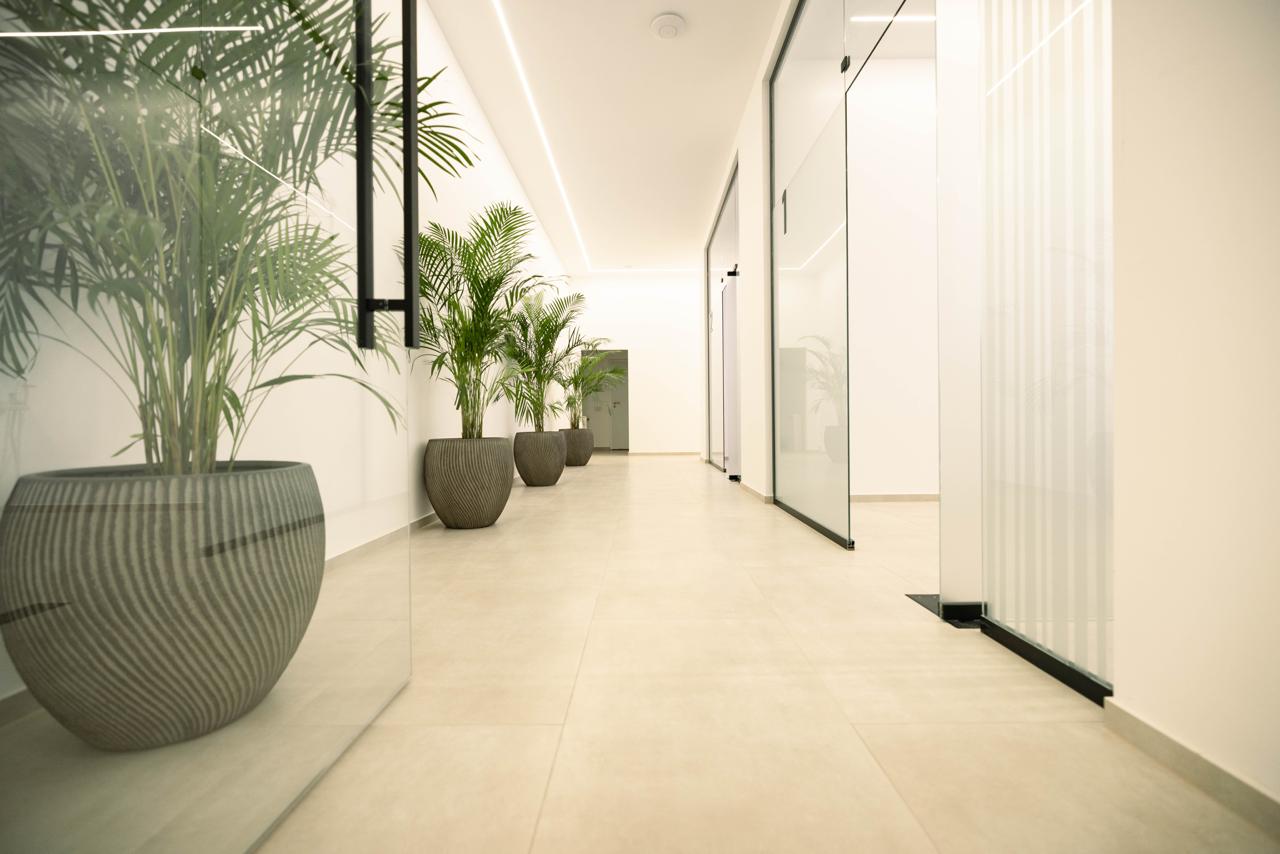 Hallway with glass rooms